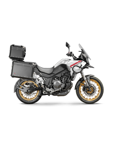 Cyclone RX600